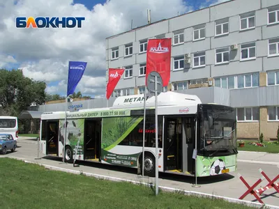 В Киев приехала первая партия из двухсот белорусских автобусов,  приобретенных в лизинг | Экономическая правда
