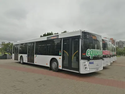 12 новеньких МАЗ-203 приступили к работе в автопарках Гомельской области