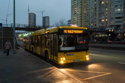 В Николаеве на новые городские автобусы МАЗ ищут водителей | СВІДОК.info