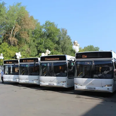 Новые автобусы производства ОАО “МАЗ” ко II Европейским играм