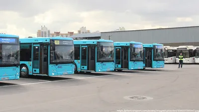 В Кузбассе появились новые автобусы «МАЗ»» в блоге «Транспорт и логистика»  - Сделано у нас