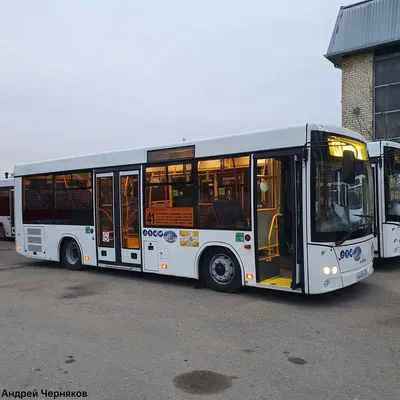 В Смоленск приехали первые новые автобусы — Смоленские новости