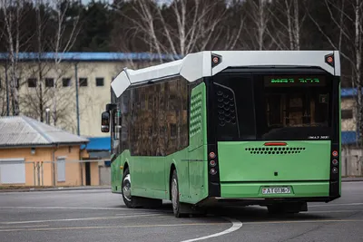В Хабаровске прошла презентация белорусского автобуса «МАЗ-203» - KP.RU
