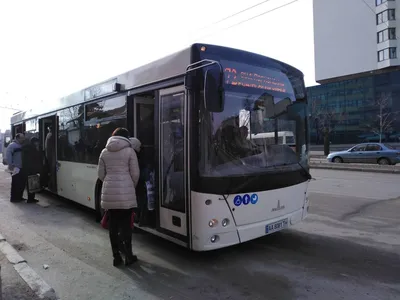 Автобусы МАЗ – atk-pro.ru