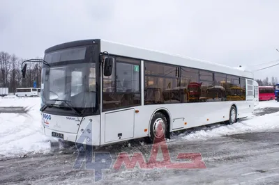 Автобус МАЗ 303065 – цена, купить автобус МАЗ у дилера в Москве