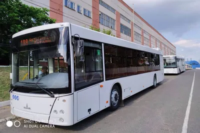Новые автобусы в Санкт-Петербурге - \"МАЗ-216\" | New buses in St. Petersburg  - \"MAZ-216\" - YouTube