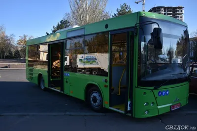 Новый газовый автобус МАЗ 203L65 - официальный дилер в Ярославле :: ЯрМАЗ