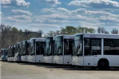Новые автобусы маз вышли на маршруты Новосибирска | СибПромАвто