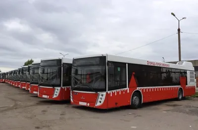 Почему в Петербурге массово горят новые автобусы МАЗ? Последствия санкций