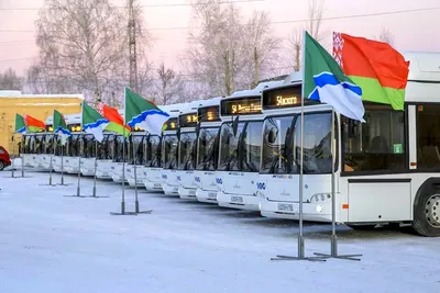 В Брянске новые автобусы МАЗ добавят на городские маршруты в часы пик -  новости, брянские новости | РИА «Стрела»
