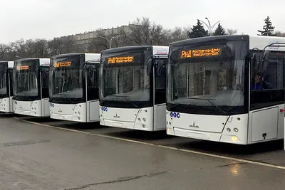 Четыре новых автобуса МАЗ приехали в Брест (для городских маршрутов)