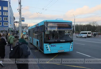 Новые автобусы МАЗ уже в Киеве и ожидают переезда в Николаев | СВІДОК.info