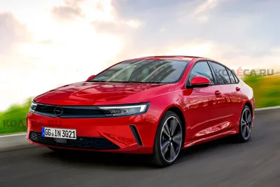 Opel готовит Insignia нового поколения: первое изображение - КОЛЕСА.ру –  автомобильный журнал