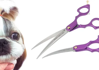 Ножницы для груминга животных купить в интернет-магазине «Грум-Мир»