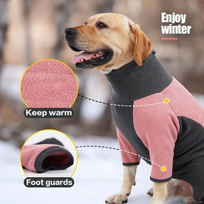 Оберег для собаки от сглаза \"Защита металлом\" - купить с доставкой по  выгодным ценам в интернет-магазине OZON (518921465)