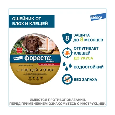 Обереги для собак и кошек №149433 - купить в Украине на Crafta.ua