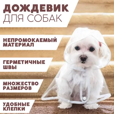 Ошейник противопаразитарный для собак Secfour 3D 70см защита 8 месяцев  (ID#1857012240), цена: 180 ₴, купить на Prom.ua