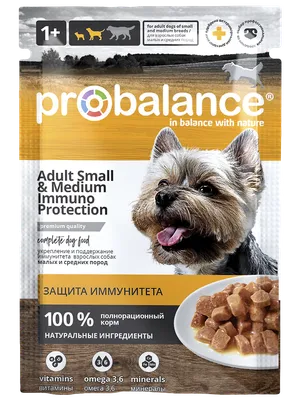 Консервированный корм для собак Probalance Immuno, защита иммунитета, с  говядиной, 850г - Корма для собак