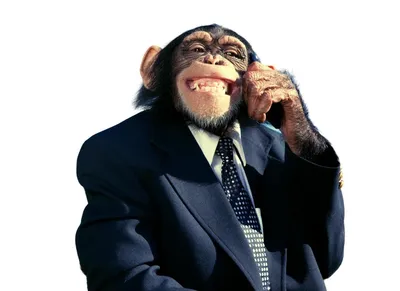 Смешная обезьяна смешно улыбается …» — создано в Шедевруме
