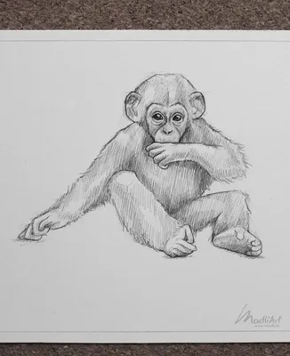 милая обезьяна висит на ветке PNG , обезьяна, животное, дерево PNG картинки  и пнг PSD рисунок для бесплатной загрузки