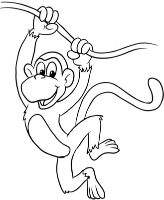 Обезьяна рисунок мультфильм, обезьяна, млекопитающее, животные, кошка png |  PNGWing