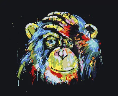 Рисунки обезьянки для срисовки - 64 фото