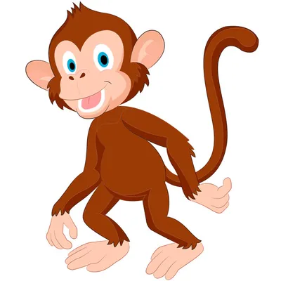 Раскраски Рисунок обезьяна для детей (29 шт.) - скачать или распечатать  бесплатно #31143