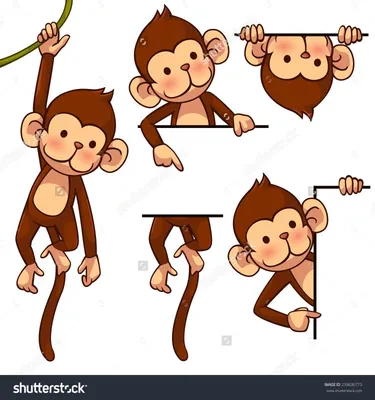 Рисунок для детей обезьяна (16 шт)