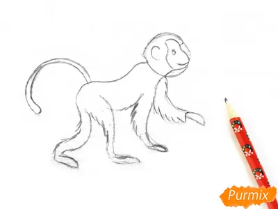 Милый обезьяна мультфильм в костюме супергероя Векторное изображение  ©mariafionawati@gmail.com 292502202
