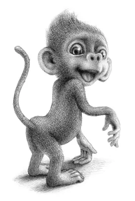 Тушь обезьяны Черная обезьяна Китайская роспись обезьяны Сидящая обезьяна  PNG , обезьяна клипарт, Яркие чернила обезьяны, чернила обезьяна  иллюстрация PNG картинки и пнг PSD рисунок для бесплатной загрузки
