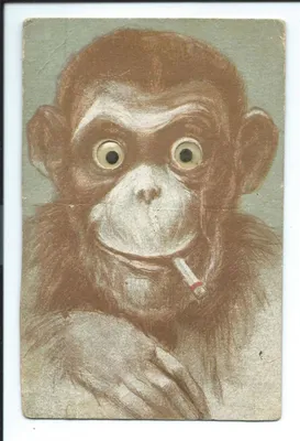Дело обезьяны отметит Новый Год с бананом Стоковое Изображение -  изображение насчитывающей ново, обезьяна: 69248085