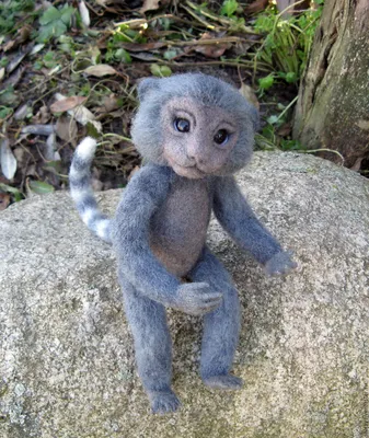 Маленькая обезьянка мармозетка - 75 фото