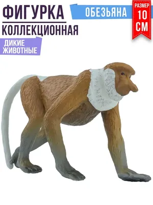 Обезьяна-талисман, обезьяна-носач, обезьяна Януш - Vroda