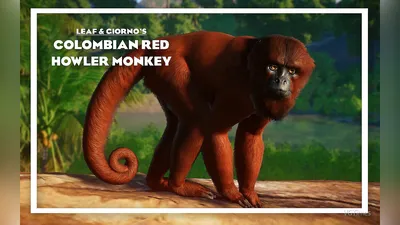 Planet Zoo — Колумбийская красная обезьяна-ревун - новый вид / Существа и  монстры / Персонажи и игроки
