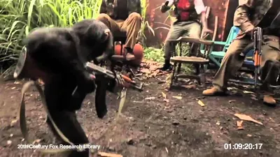 Ape With AK-47 - Обезьяна с автоматом Калашникова - YouTube
