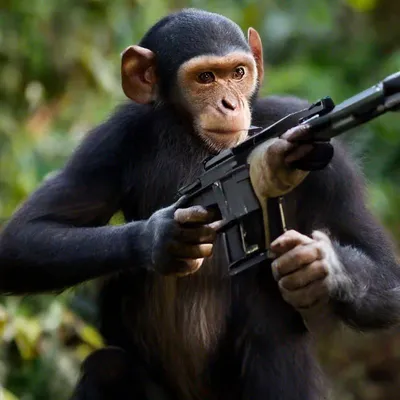 NEW Наклейки за Копейки Наклейка Обезьяна с пистолетом надпись обезьяны  убивают люде