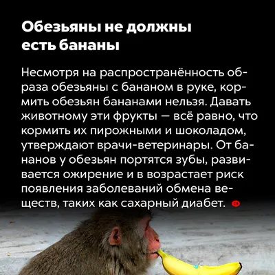 Обезьяна с бананом» — создано в Шедевруме