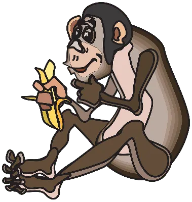 Раскраска Обезьяна на ветке с бананом распечатать или скачать