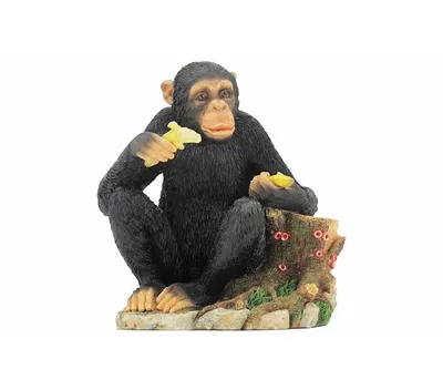 Купить Обезьяна с бананом 50см TT1158 Мягкие игрушки - цена от 554 ₽ в  Джанкое