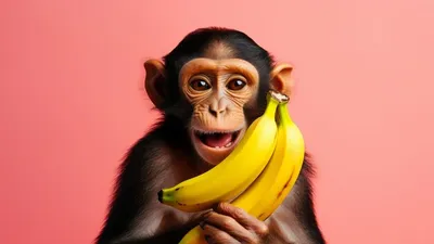 Обезьяна с бананом стоковое фото. изображение насчитывающей ангстрома -  52147462