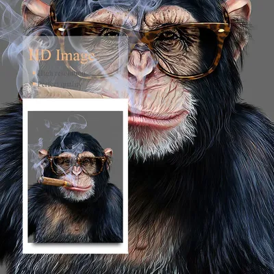 Бесплатные Сигара обезьяна 1 стоковые фотографии | FreeImages