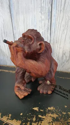 Курить, как обезьяна
