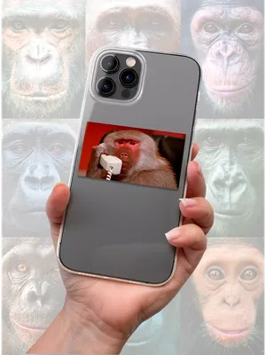 Смартфон обезьяны абстрактный счастливый питомец создать ai | Премиум Фото