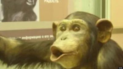 Гуманоидный Пришелец Обезьяна Шимпанзе Иллюстрация стоковое фото  ©katerynakon 623908756