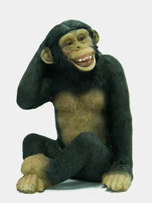 Смешные лица обезьян - 60 фото