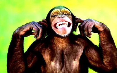 Криповая обезьяна, улыбается, позирует…» — создано в Шедевруме