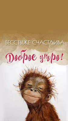 молодая рыжеволосая обезьяна улыбается и стоит с черными глазами, держа  бананы в зеленом цветном векторе иконки Иллюстрация штока - иллюстрации  насчитывающей жизнерадостно, апертур: 246901777