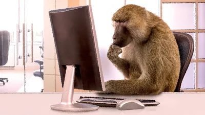 обезьянка, сидящая на компьютерном поп-арт-растере Иллюстрация штока -  иллюстрации насчитывающей шуточно, рукоплескания: 252329755
