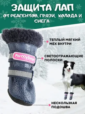 ForMyDogs Зимняя обувь для собак