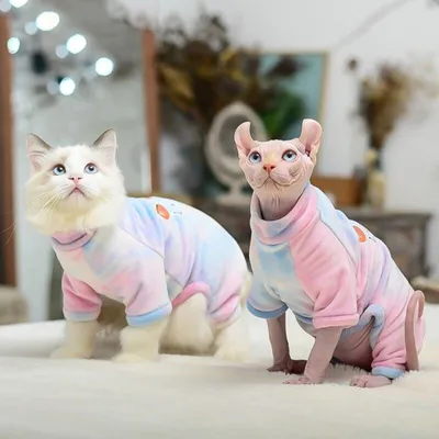 Купить Одежда для кошек, зимние теплые мягкие хлопковые толстовки для кошек,  костюмы для кошек, пуловер, одежда для котят, свитера для котят для кошек |  Joom